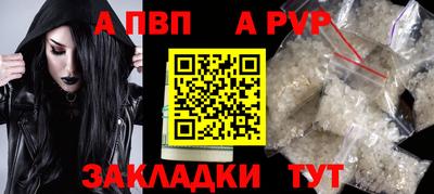 мяу мяу мука Малгобек
