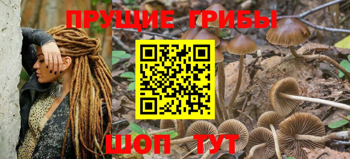 Псилоцибиновые грибы GOLDEN TEACHER Ижевск